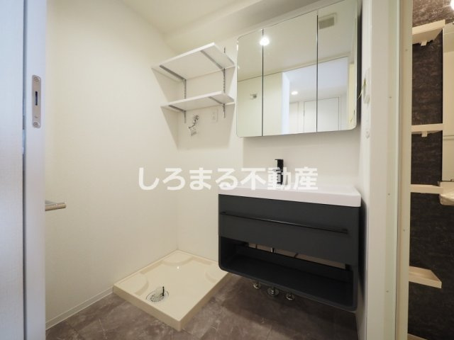 セレニテフラン谷町四丁目の洗面所