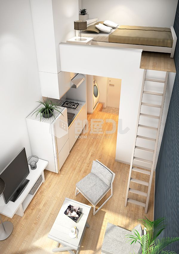 サークルフォレスト