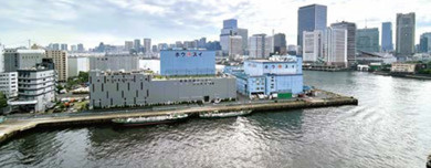 コスモ東京ベイタワーのその他