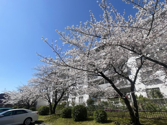 ＼価格改定しました／小幡ハイツ2棟のその他共用部分