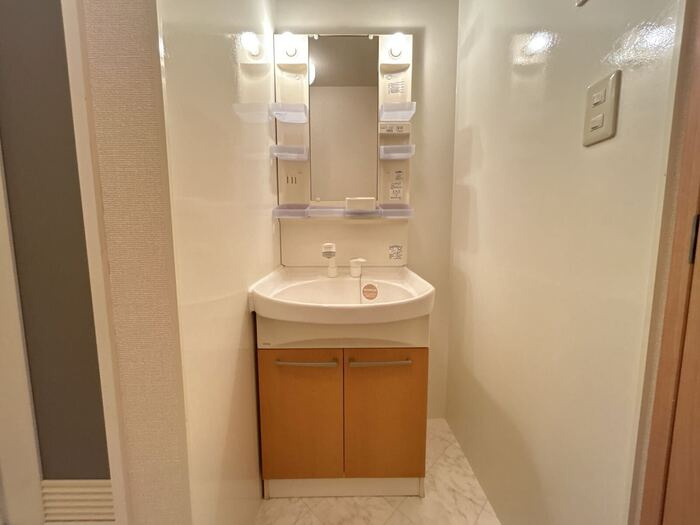 ローズコートⅡの独立洗面台