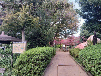 【周辺】 | ヒカルサ西東京向台ウエスト | 田無市民公園まで177m