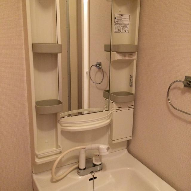 ディアーヒルズ　Ｅの洗面所