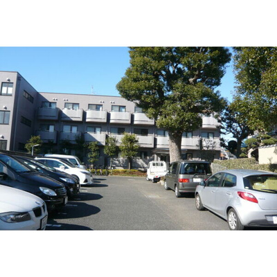 【展望】 | カンファーコート