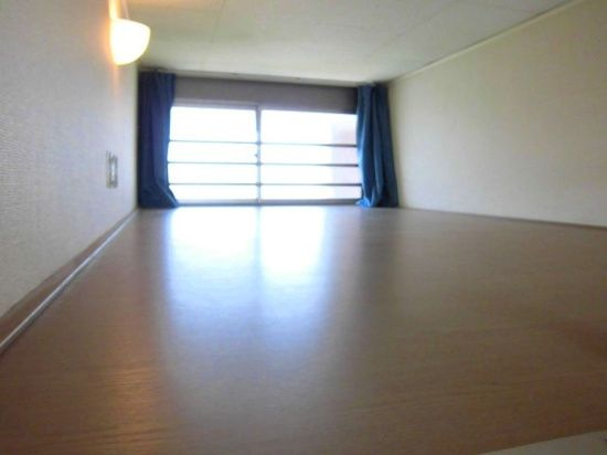 レオパレスプラムフローラの洋室