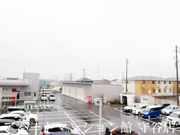 エバーグリーンの展望