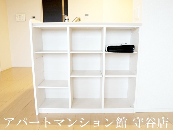 エバーグリーンのその他