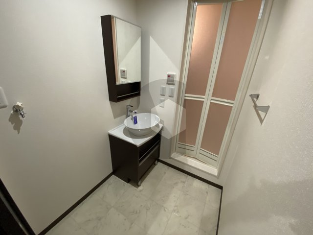 フジパレス瓜生堂の洗面所