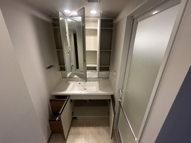 ドレッセ南町田  シエルコートの収納|洗面台にも収納があります。