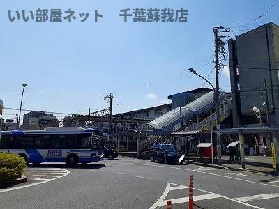 パークサイド水草のその他