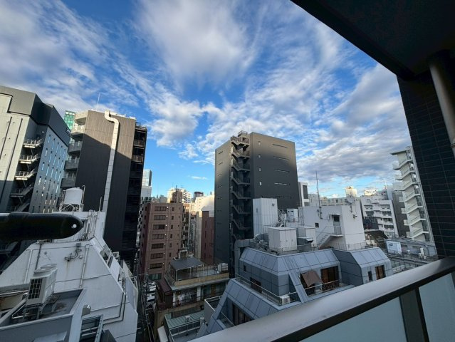 リビオレゾン大手町の展望