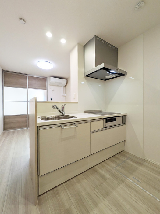 D-ROOM PREMIUM 多磨霊園駅のキッチン