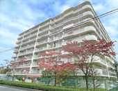 青木橋スカイハイツの画像