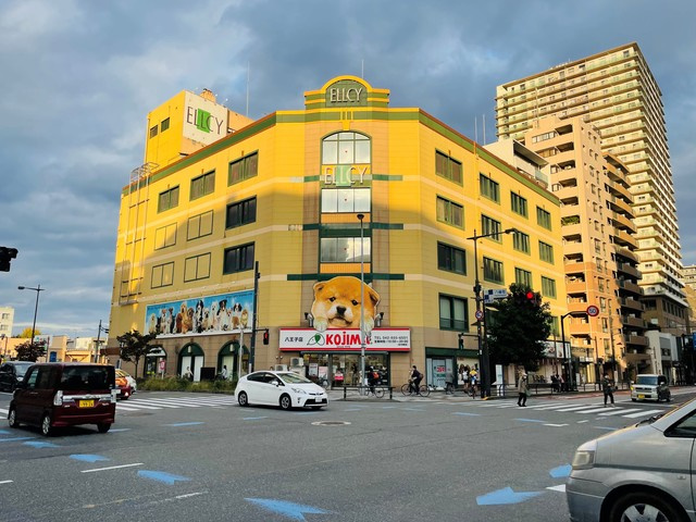 パルコート・Ｓのその他|ペットショップコジマ