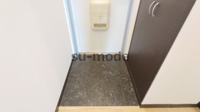 レオネクストシオンヒルズの玄関