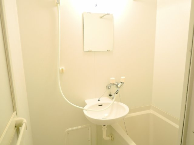 レオネクストシオンヒルズの洗面所