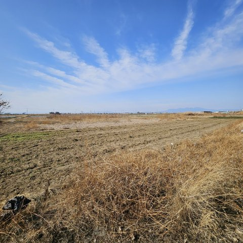 [農地]太田市阿久津町608(青地)の外観