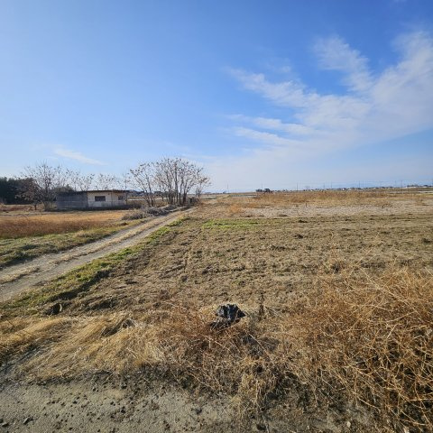 [農地]太田市阿久津町608(青地)の外観