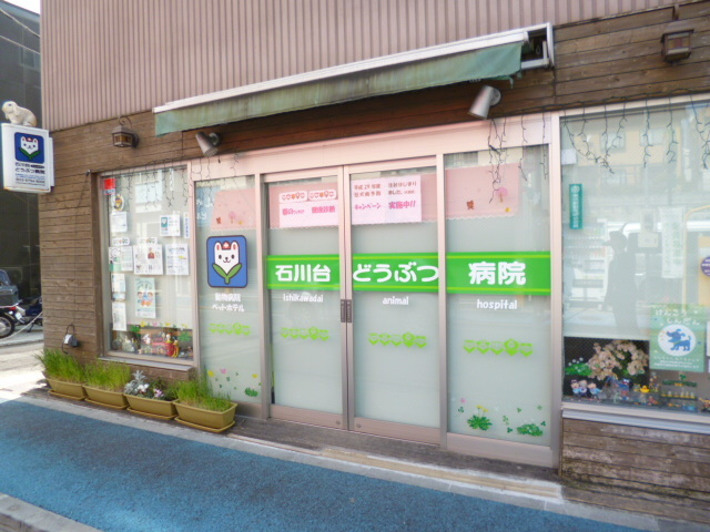 カーサマキのその他|石川台どうぶつ病院