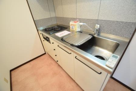 サンビレッジ藤原台B棟のキッチン|システムキッチンです