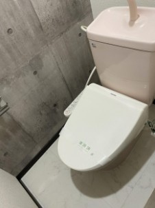 ＦＲ合川のトイレ|清潔感のあるトイレです