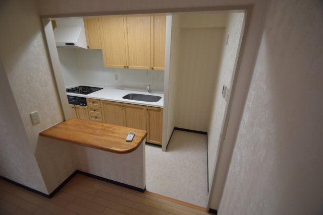 ＩＮＳＵＲＡＮＣＥ　ＢＬＤＧ．Ⅸの内装|キッチン上部（写真は別号室です）