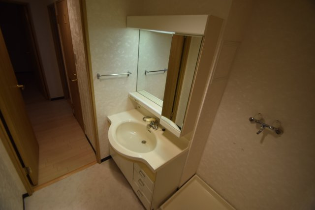 ＩＮＳＵＲＡＮＣＥ　ＢＬＤＧ．Ⅸの洗面所|洗面所です（写真は別号室です）