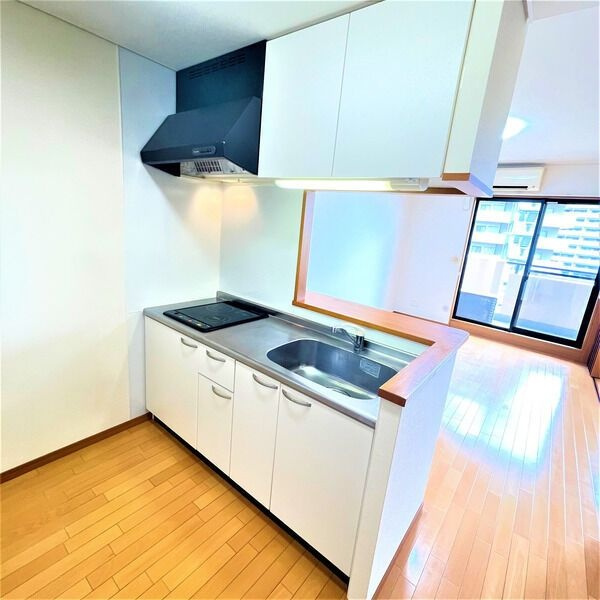 カーレヂ三浦・Ⅱのキッチン