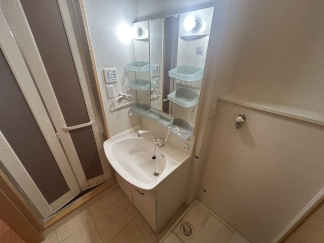 リュイール桃山台の洗面所