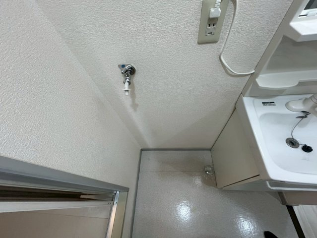 フロイディハイツの洗面所