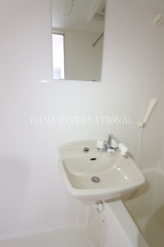 グリーンバレー内谷の洗面所