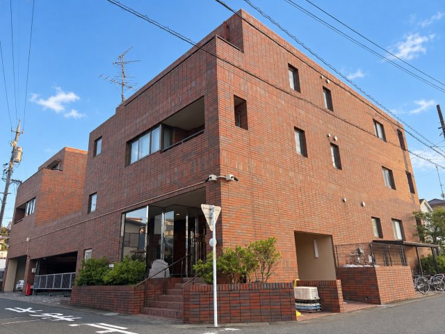 アルコ根上り松