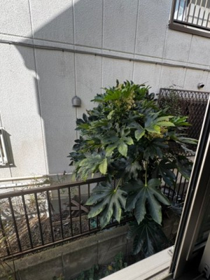 【展望】 | サークルハウス京成小岩