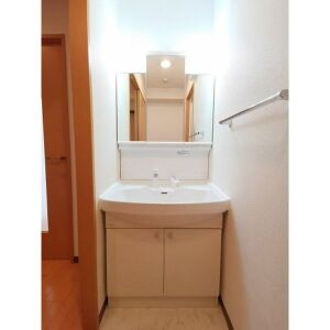 レージュ幸心の洗面所