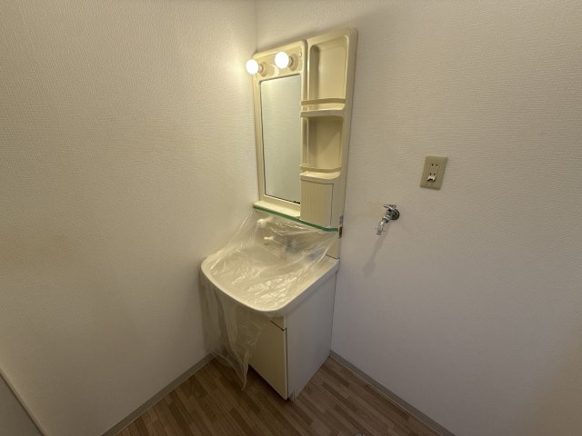 DRけやきＡ棟の洗面所