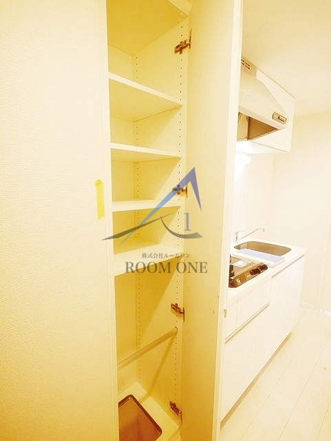 ディアレイシャス武蔵中原の収納|収納です。