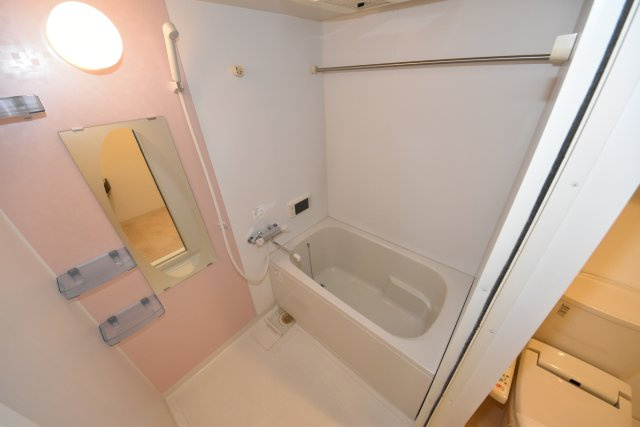 エステムコート難波EASTレオルガの浴室