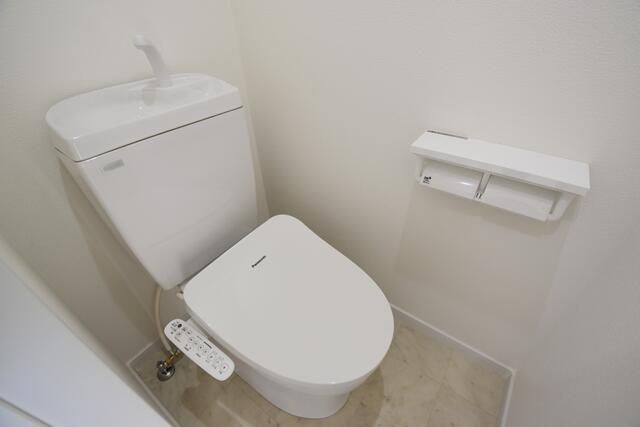 ＬＵＸＩＳ柳沢のトイレ