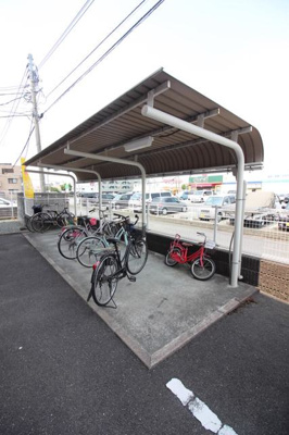  | ルミエール貝白