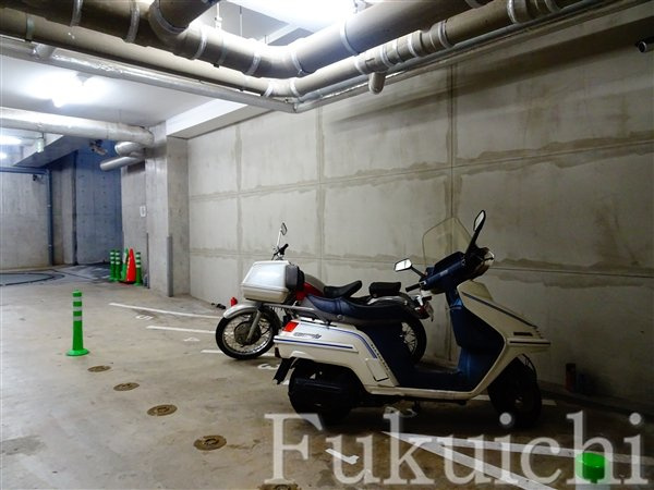 イプセ学芸大学のその他