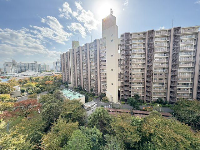 近鉄南港ガーデンハイツ21号棟の展望