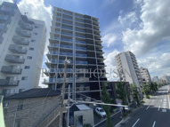 北区神谷３丁目のマンションの画像