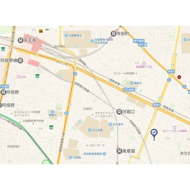 アドバンス大阪ブリスのその他