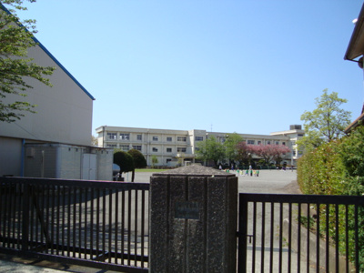 【周辺】 | ルミナスハイツ市川 | 富岡第一小学校まで160ｍ