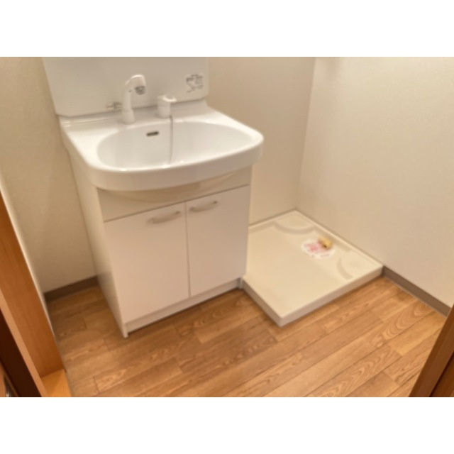 メゾン土貴野の洗面所