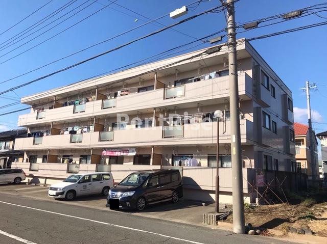 ロベリア山崎