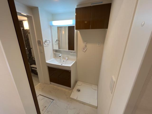 グリーンメゾンⅤの洗面所|洗面