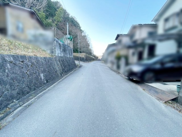 稗田野町柿花梶林の前面道路含む現地写真