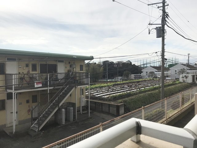 スクエア西部の展望