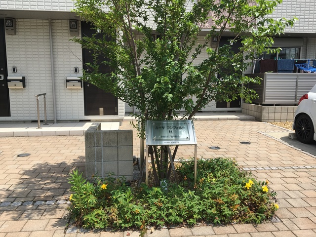 カーサ　コンフォルトBのエントランス|★エントランス★